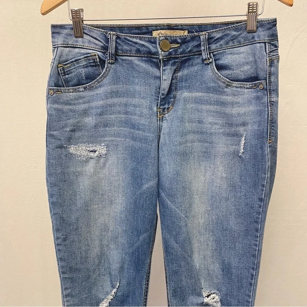 Democracy 6 Slim Straight Flood Jeans Frayed Hem Paisley Embroidered Mid Rise
